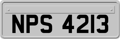 NPS4213