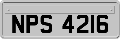 NPS4216