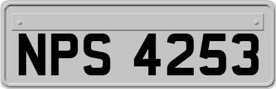 NPS4253
