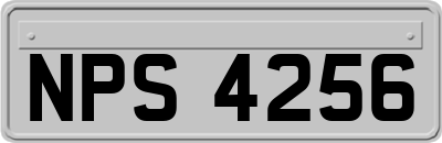 NPS4256