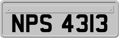 NPS4313