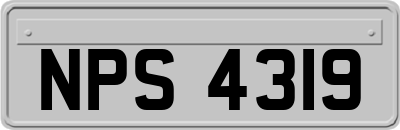 NPS4319