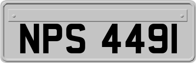 NPS4491