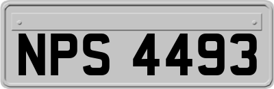 NPS4493