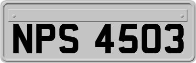 NPS4503