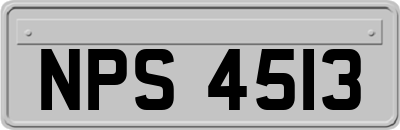 NPS4513