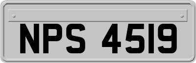 NPS4519