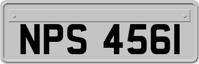 NPS4561