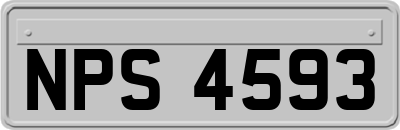 NPS4593