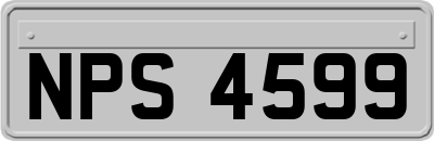 NPS4599