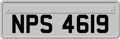 NPS4619