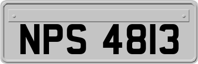 NPS4813