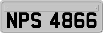 NPS4866