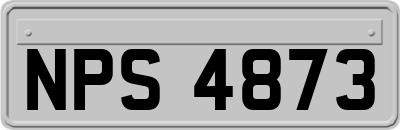 NPS4873