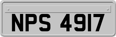 NPS4917