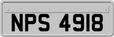 NPS4918