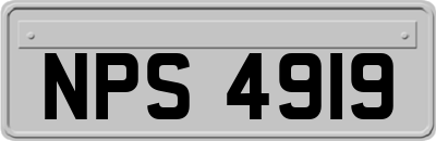 NPS4919