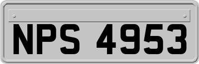 NPS4953