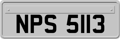 NPS5113