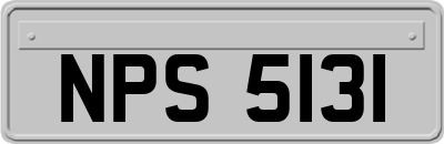 NPS5131