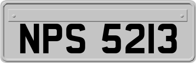 NPS5213