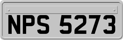 NPS5273