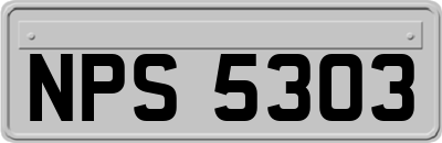 NPS5303