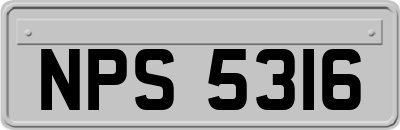NPS5316