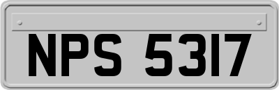 NPS5317