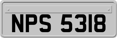 NPS5318