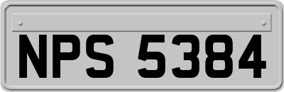 NPS5384