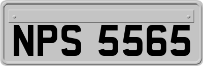 NPS5565