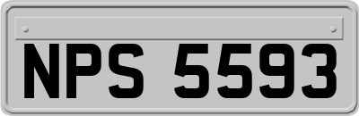 NPS5593