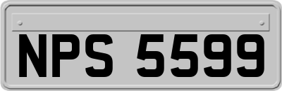 NPS5599