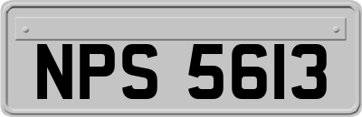 NPS5613