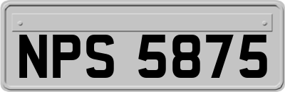 NPS5875