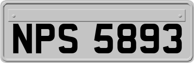 NPS5893