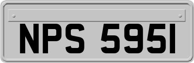 NPS5951
