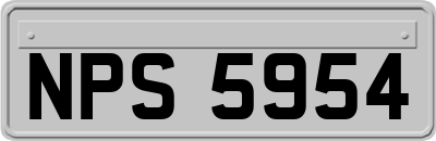 NPS5954