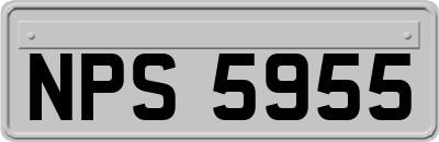 NPS5955