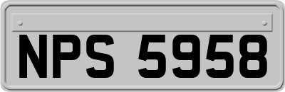 NPS5958
