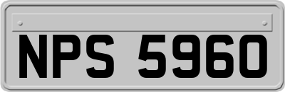 NPS5960