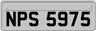 NPS5975
