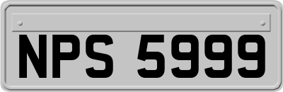 NPS5999