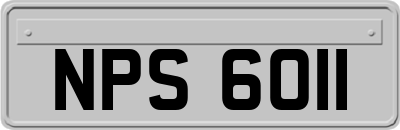 NPS6011