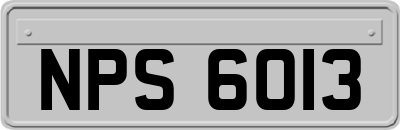 NPS6013