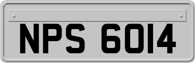 NPS6014