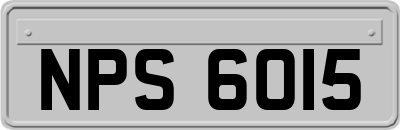 NPS6015