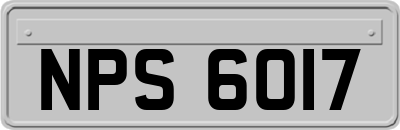 NPS6017