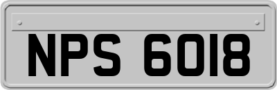 NPS6018
